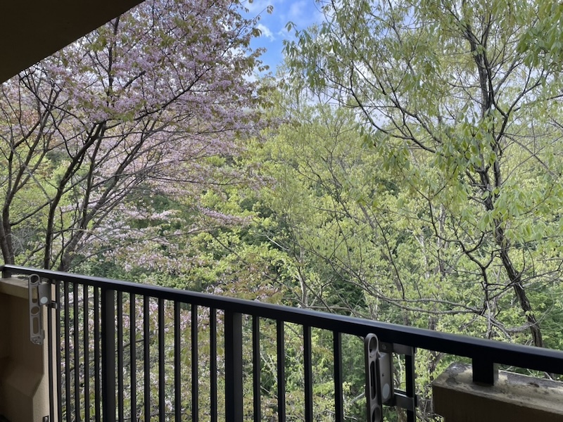 虫が苦手だからこそ慎重に選んだ住まいの条件