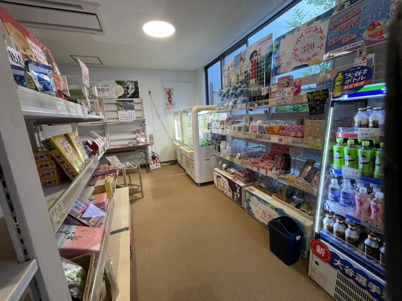 【山梨 南部町 サウナ】漫画&グルメも充実!なんぶの湯が最高すぎた件